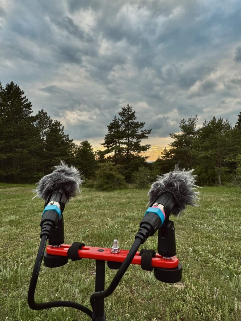 Sound recordist capturing natural ambience in a forest with professional audio gear